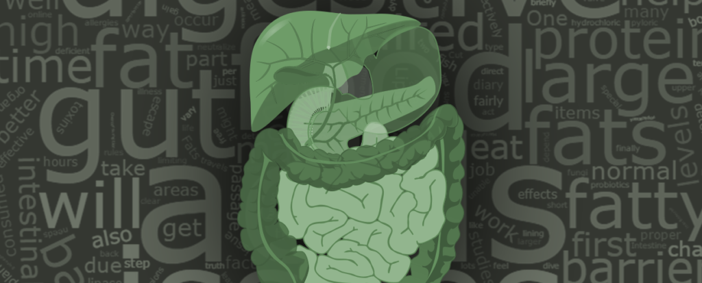Your Digestion and Seborrheic Dermatitis Cover Photo